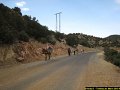 Trekking au Maroc - Voyages Laurence - 074